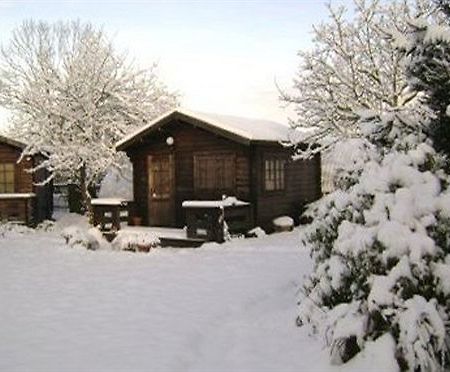 Robeanne House Holiday Accommodation Shiptonthorpe Exteriör bild