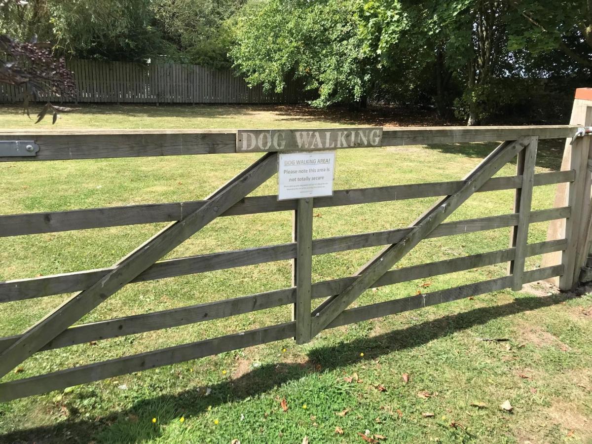Robeanne House Holiday Accommodation Shiptonthorpe Rum bild