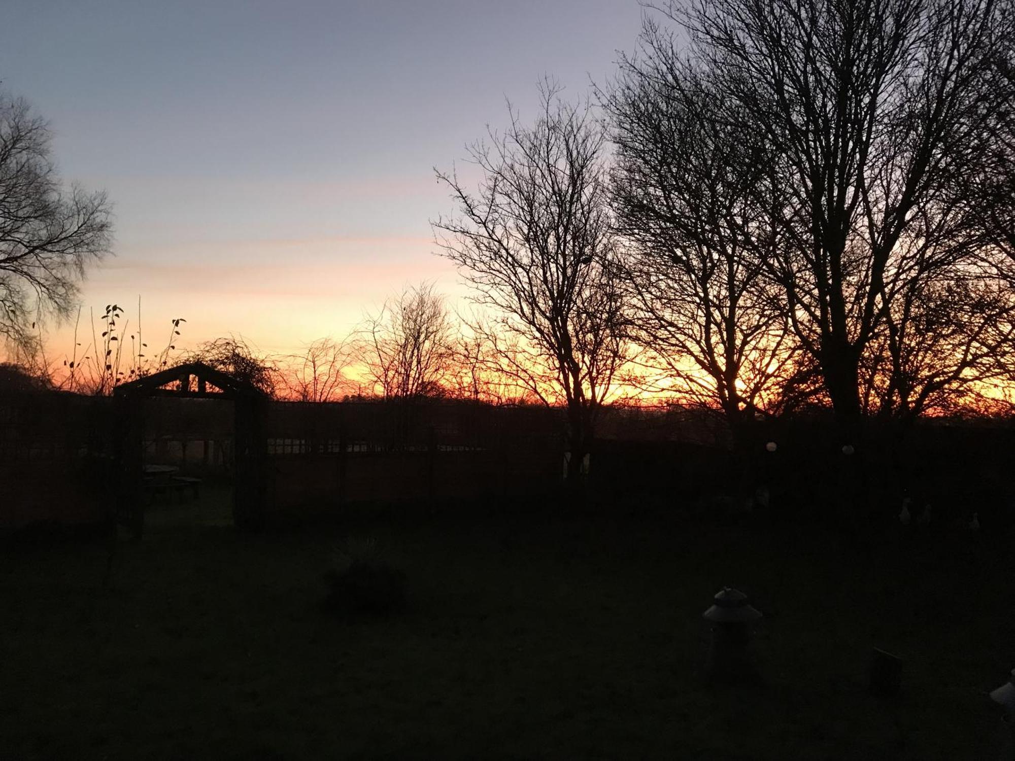 Robeanne House Holiday Accommodation Shiptonthorpe Rum bild