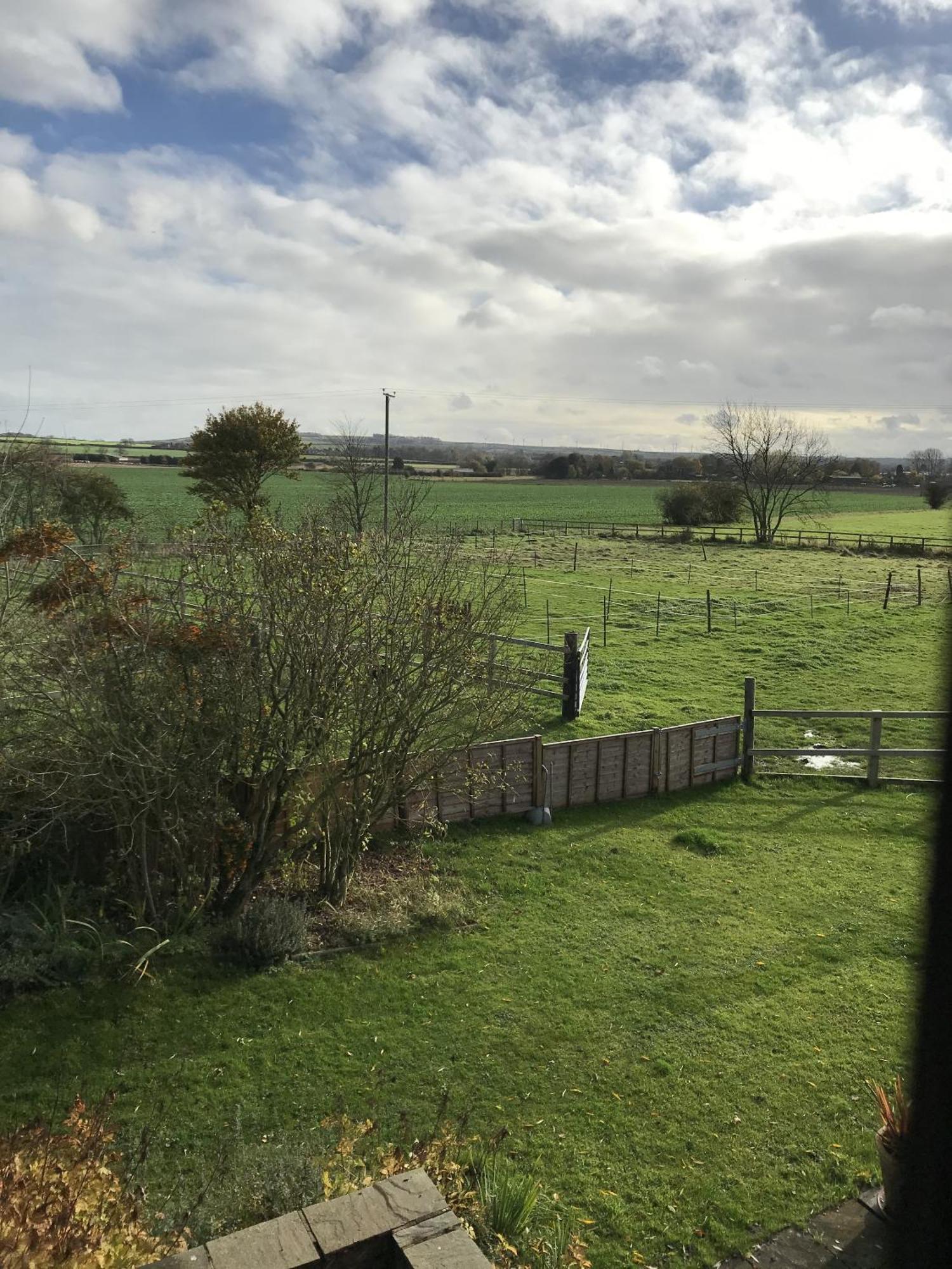 Robeanne House Holiday Accommodation Shiptonthorpe Rum bild